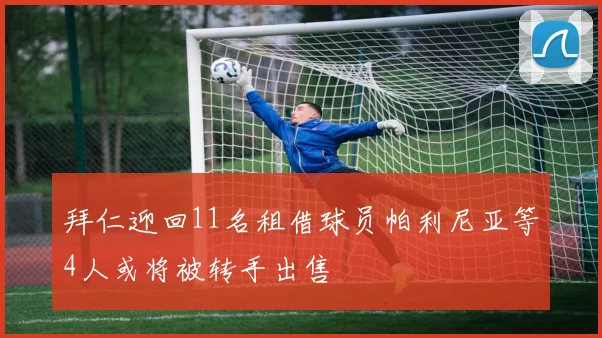 拜仁迎回11名租借球员帕利尼亚等4人或将被转手出售
