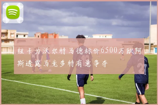 纽卡为沃尔特马德标价6500万欧阿斯透露马竞多特有意争夺